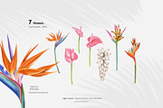 Tropical tiger, animals, leaves, an Animal Illustration by ARTMIRU (Thumbnail 4 of 14)