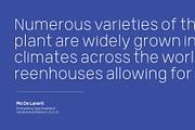 Germalt, a Sans Serif Font by Typesketchbook Foundry (Thumbnail 6 of 7)