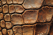 Leather Texture, a Pattern Graphic by Printable Treasure (Thumbnail 4 of 4)