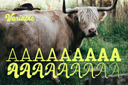 Breaker Rockin, a Script Font by Nathatype (Thumbnail 11 of 21)