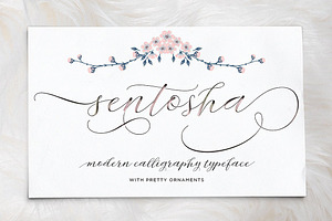 Sentosha Script, a Script Font by Areatype