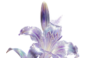 ETARA Tarot Deck Builder–Crystal Kit, an Object Graphic by ETARA by Mea Hau (Thumbnail 27 of 44)