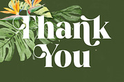 Mango Jungle Modern Bold Serif, a Serif Font by timelesstype.co (Thumbnail 20 of 20)