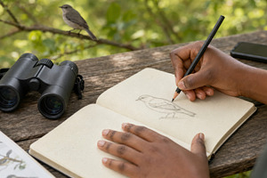 Birdwatching sketch in nature settin, a Photo by Dvoevnore photos