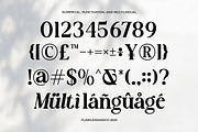 New Shuffle - Modern Serif Family Fo, a Serif Font by Flawless And Co (Thumbnail 10 of 10)
