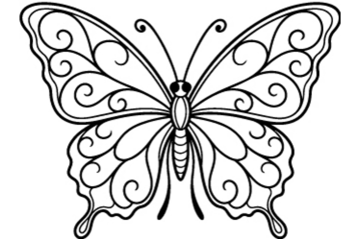 Butterfly SVG Bundle, an Object Graphic by Gfx_Store (Photo 2 of 32)