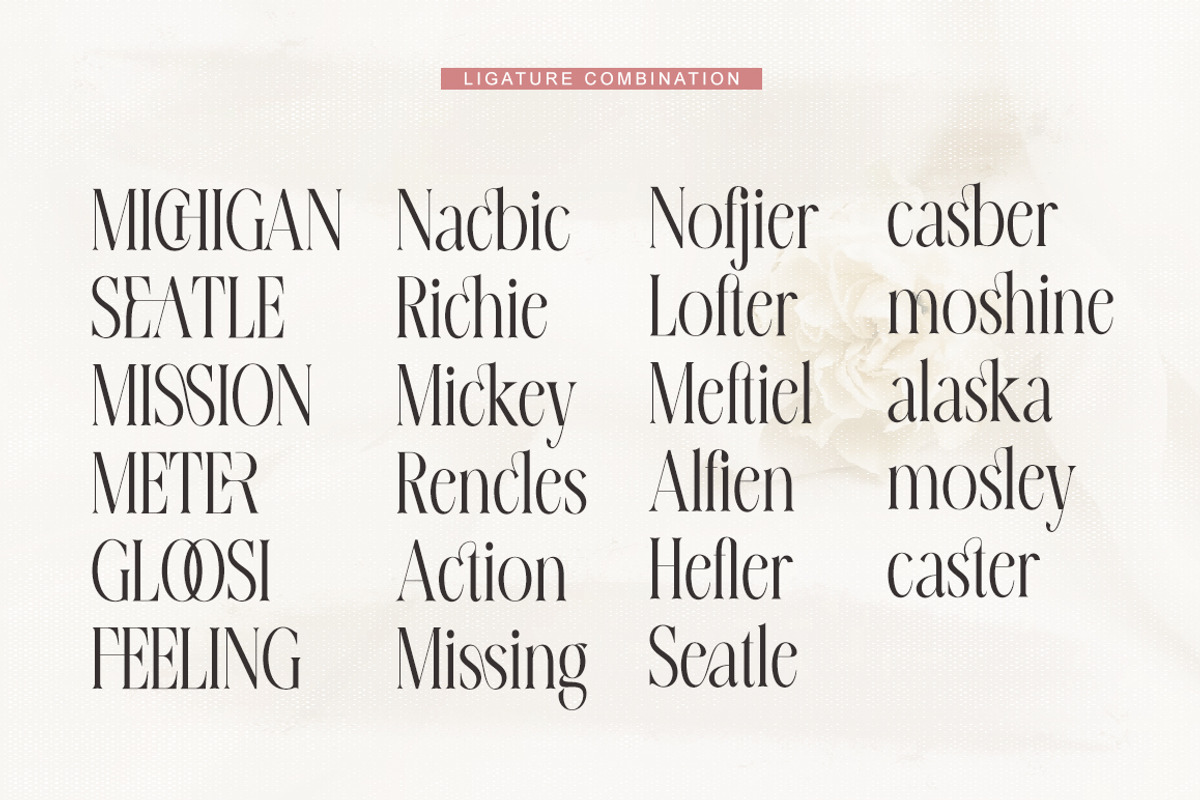 Erangle, a Serif Font by Gatype (Photo 6 of 9)
