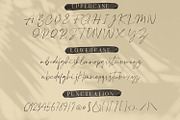 Plumrose Signature Script Font, a Script Font by Typetemp Studio (Thumbnail 10 of 11)