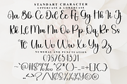 American Beautiful, a Handwritten Font by FreshTypeINK (Thumbnail 7 of 8)