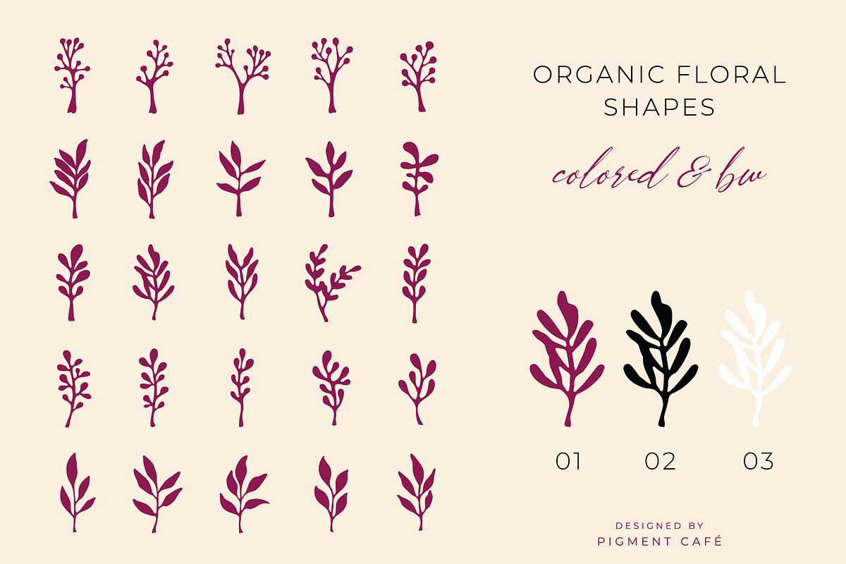 Floral Form Studies Shapes & Pattern, a Decorative Illustration by Pigment Café (Photo 2 of 5)