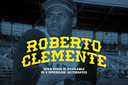 wild pitch, a Font by boldversion (Thumbnail 3 of 4)
