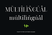 Cesso: Ligature Serif, a Serif Font by That That Creative (Thumbnail 14 of 17)