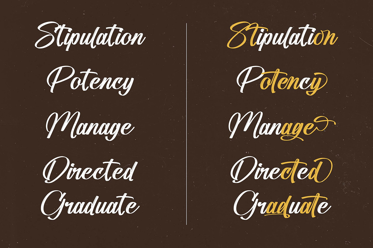 Standard Vertical Modern Brush Font, a Script Font by stylishtype.co (Photo 4 of 20)