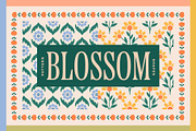 Blossom - Patterns, Shapes & Frames, a Pattern Graphic by Basia Stryjecka (Thumbnail 1 of 35)