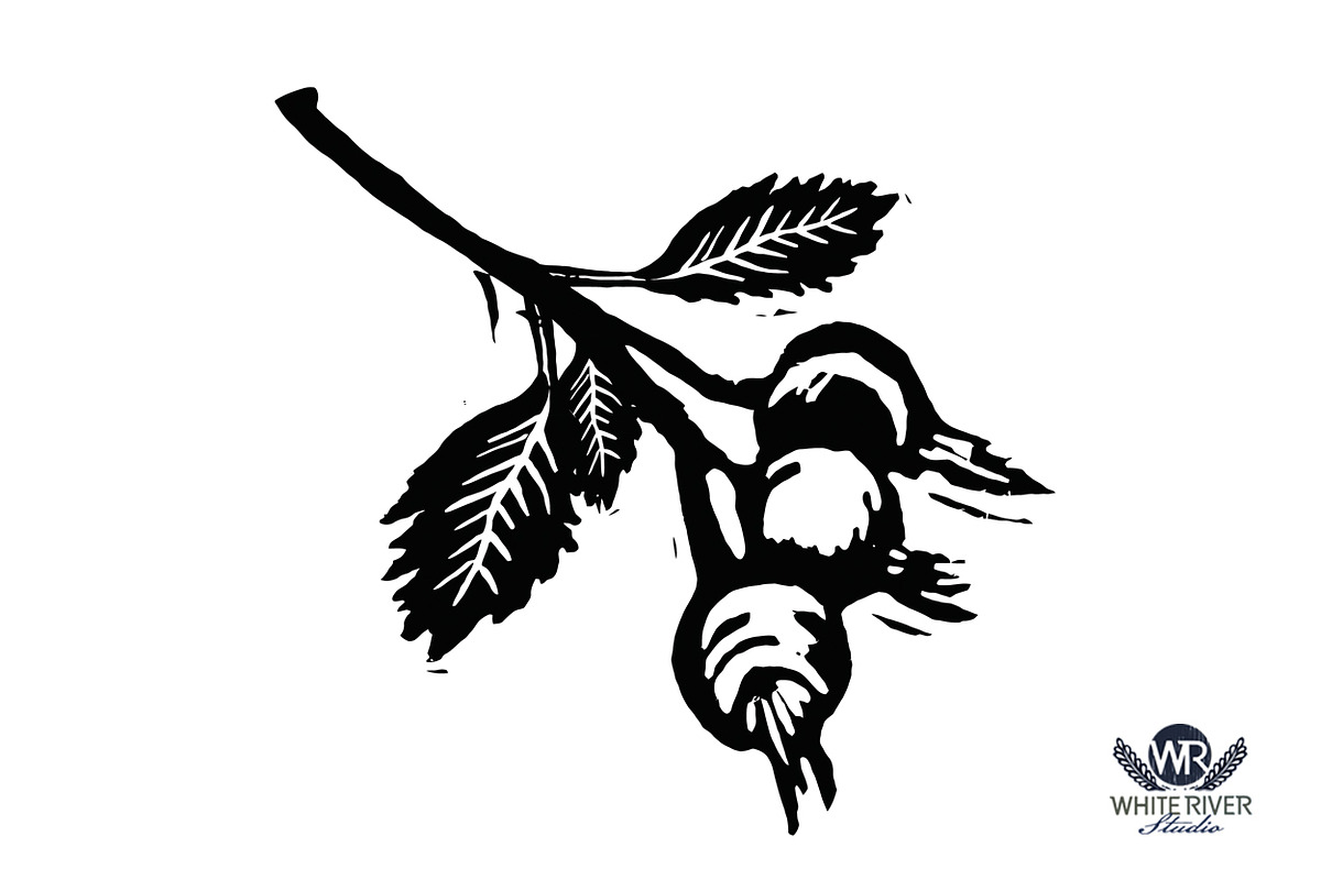 Feathered Friends Linocuts, an Illustration by WhiteRiverStudio (Photo 9 of 10)