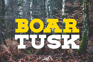 BOAR TUSK Font Family