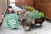 Botanical Bundle - 250 Plants *SALE*, an Object Graphic by envirographic (Thumbnail 4 of 6)