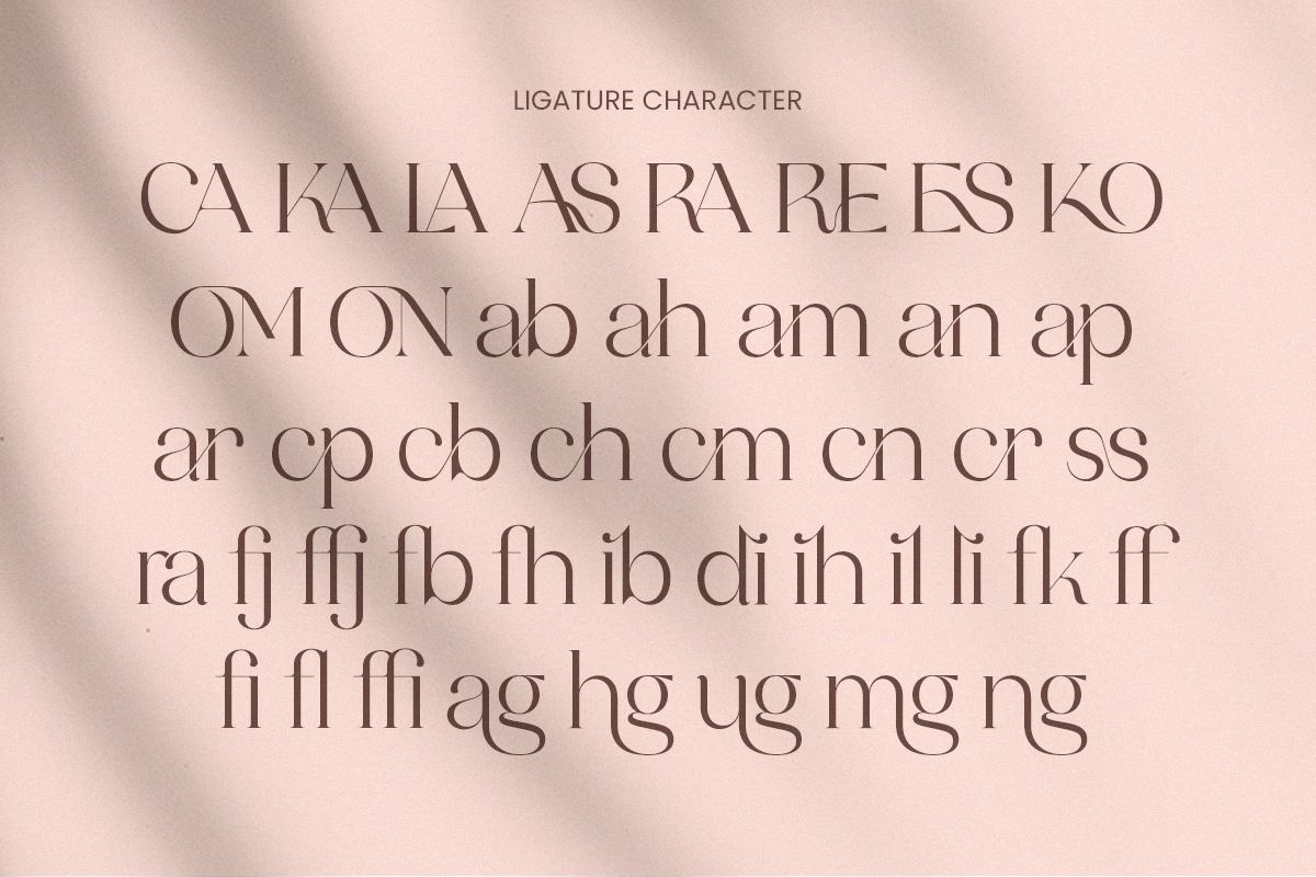 Assent Royale - Luxury Serif, a Serif Font by Annivers Type (Photo 5 of 10)