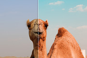 Orange & Teal Lightroom Presets, an Action Add-On by PhotoMarket (Thumbnail 15 of 42)