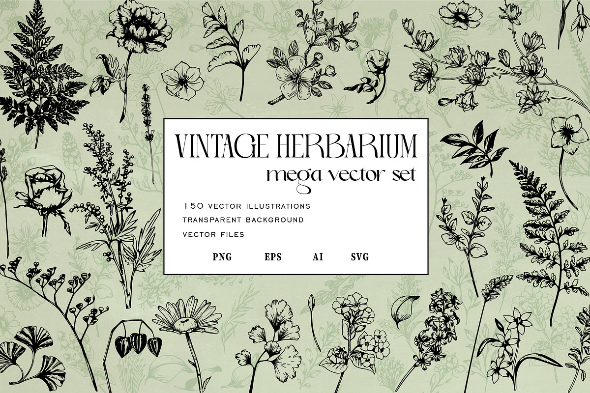 Vintage Herbs & Flowers mega set, an Object Illustration by Garden in frame (Photo 1 of 8)