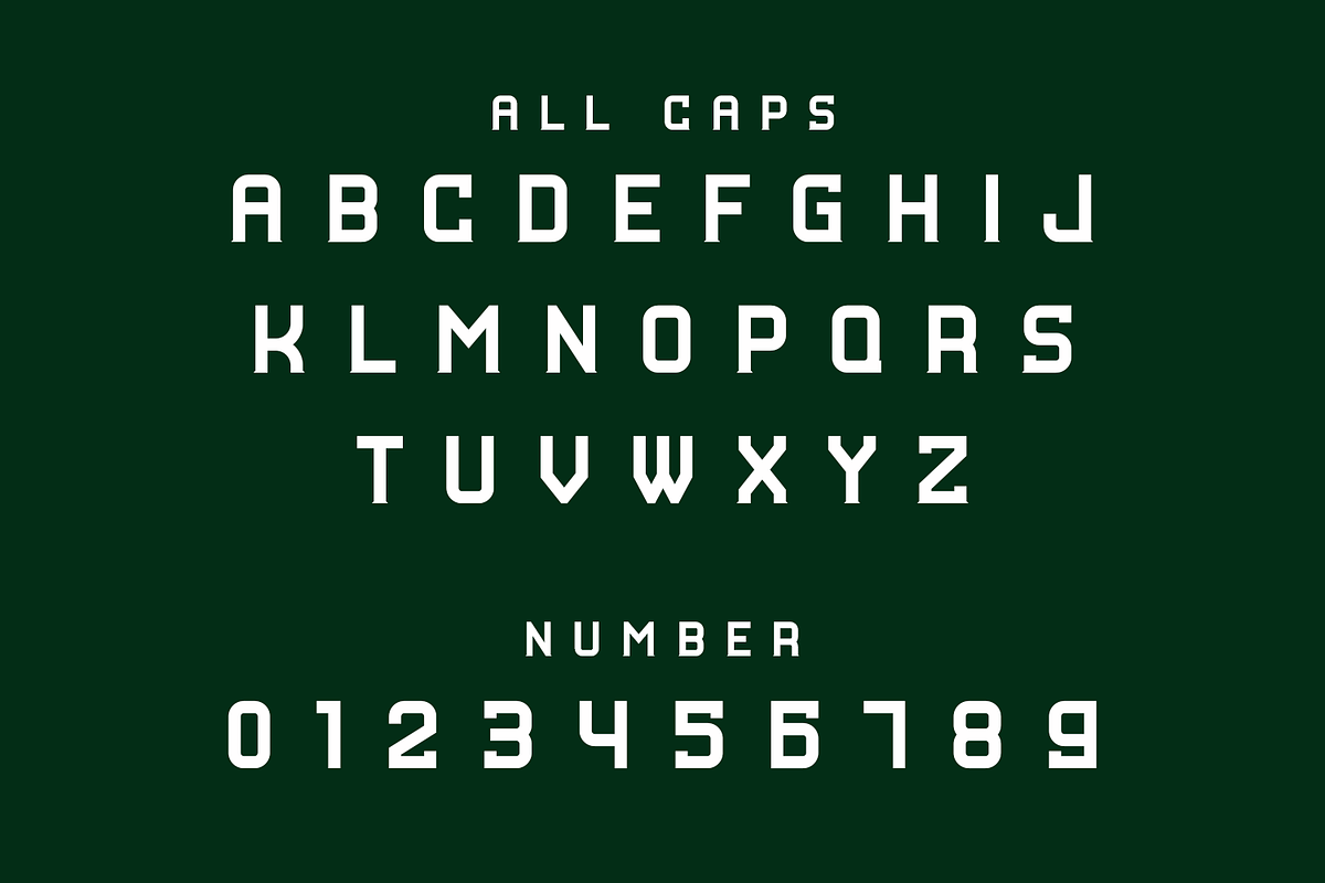 Himpla, a Slab Serif Font by lelevien (Photo 2 of 4)
