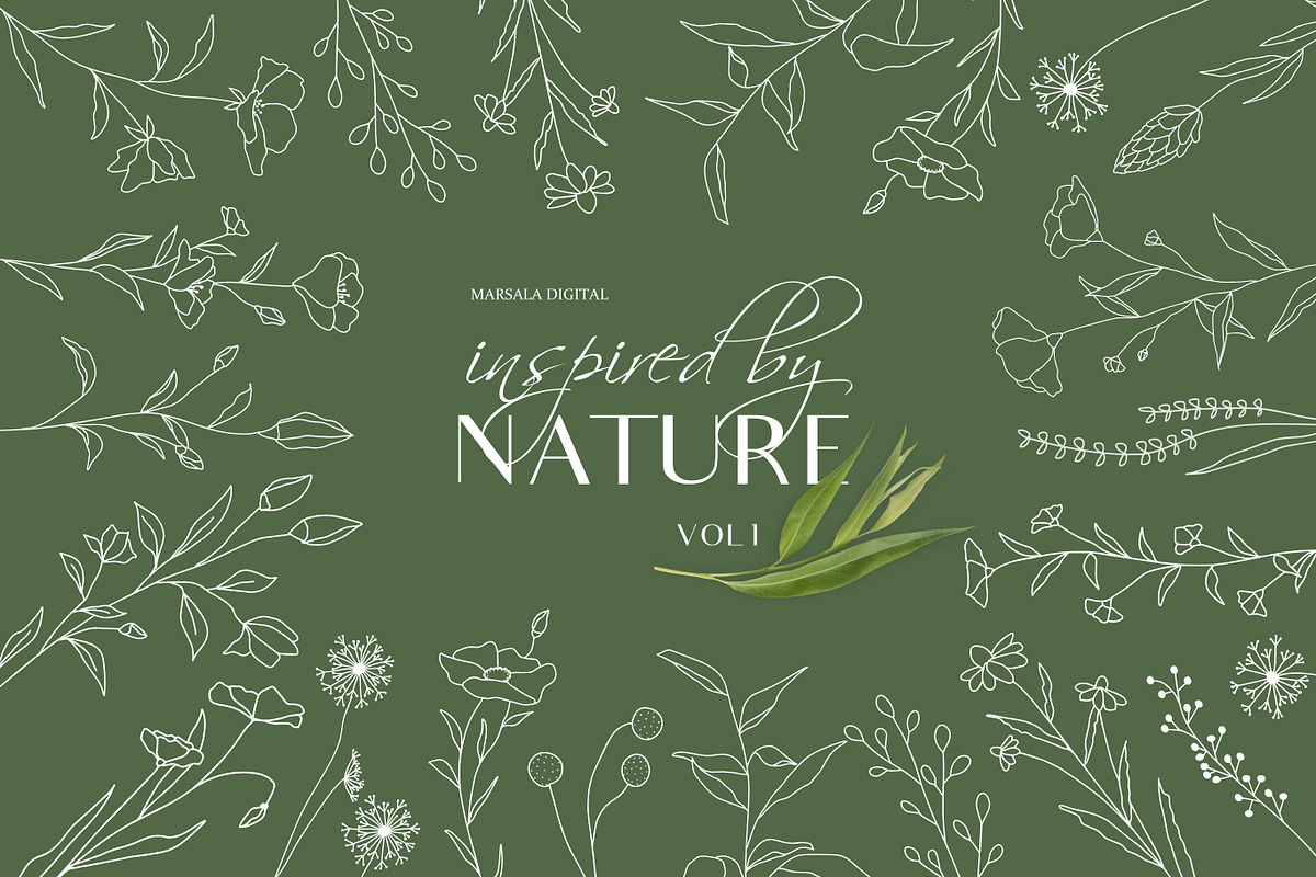 Botanical Line Art Illustrations V1, a Texture Illustration by Kaya Fonts (Photo 1 of 9)