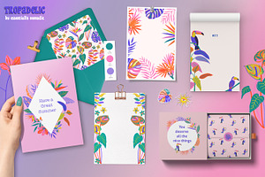 Tropical Summer Pattern Collection