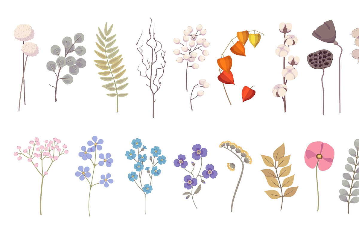 Decorative dried flowers. Cartoon, a Texture Illustration by YummyBuum (Photo 3 of 3)