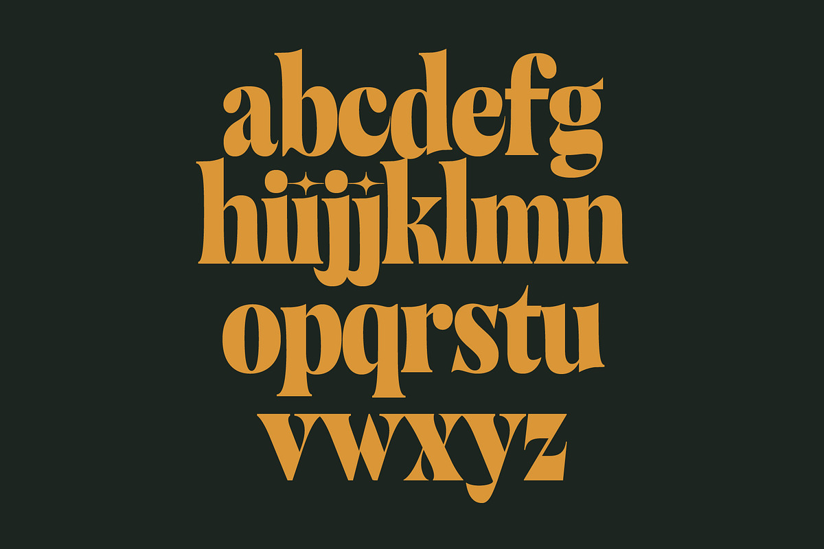 Balide - Display Serif, a Serif Font by Adam Fathony (Photo 15 of 17)
