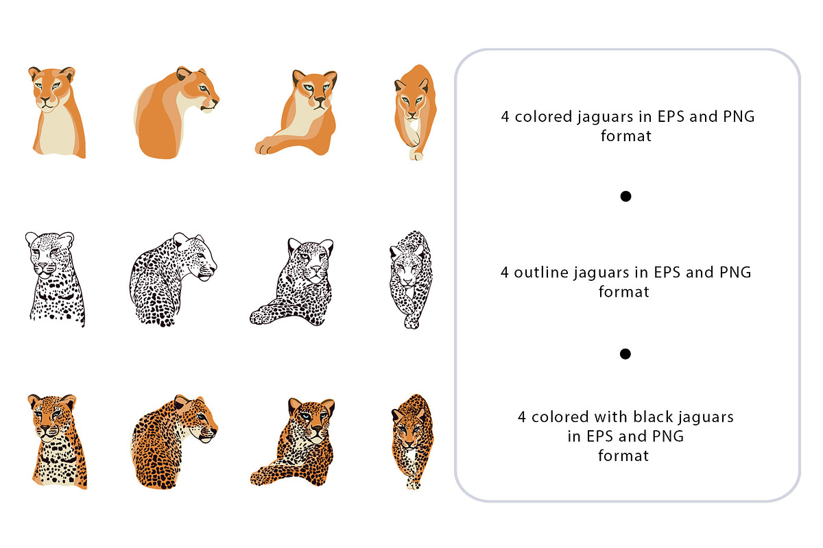 Abstract. Women. Jaguars, an Object Graphic by Vera●Suleimanova (Photo 10 of 20)