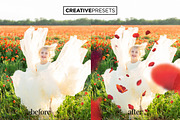 Wild Poppies Photo Overlays, a Layer Style Add-On by CreativePresets.com (Thumbnail 2 of 12)
