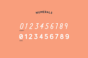 Belvedere - Monoline Font Duo, a Handwritten Font by Unio Designs (Thumbnail 5 of 10)