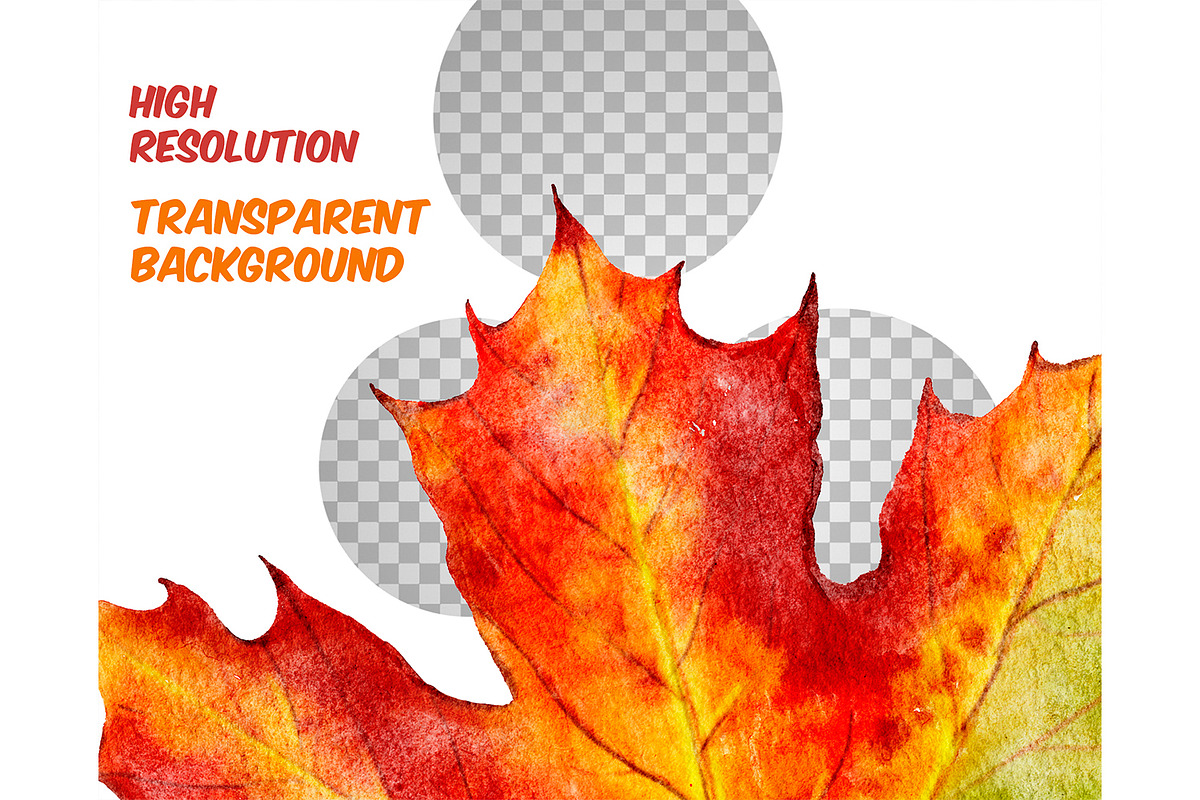 Watercolor autumn leaves clipart, a Seasonal Illustration by ArtfulStudio (Photo 6 of 7)