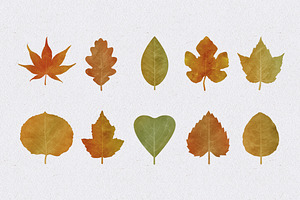 Watercolor Autumn & Fall Leaves