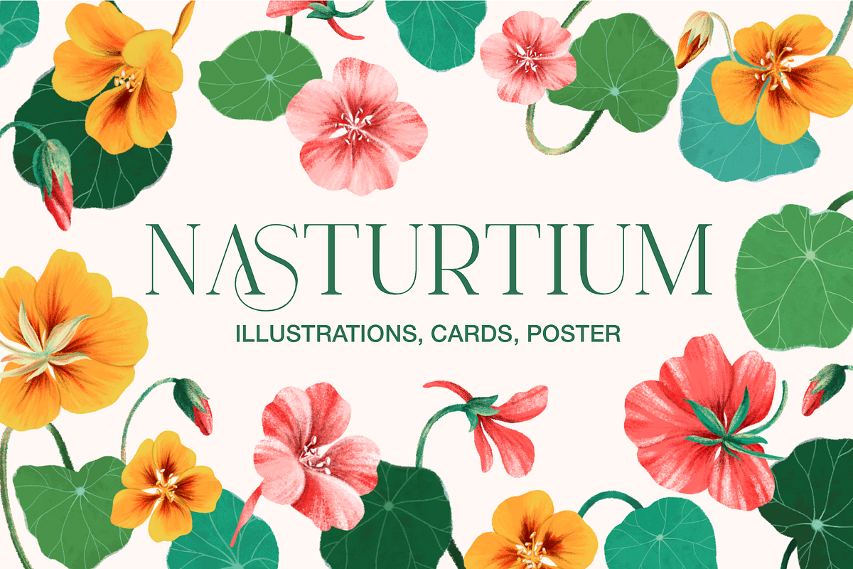 Nasturtium summer flowers clipart, a Decorative Illustration by Harmony Draws (Photo 1 of 8)