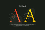 Retro Voice – Variable Serif Font, a Serif Font by Blessed Print (Thumbnail 23 of 29)