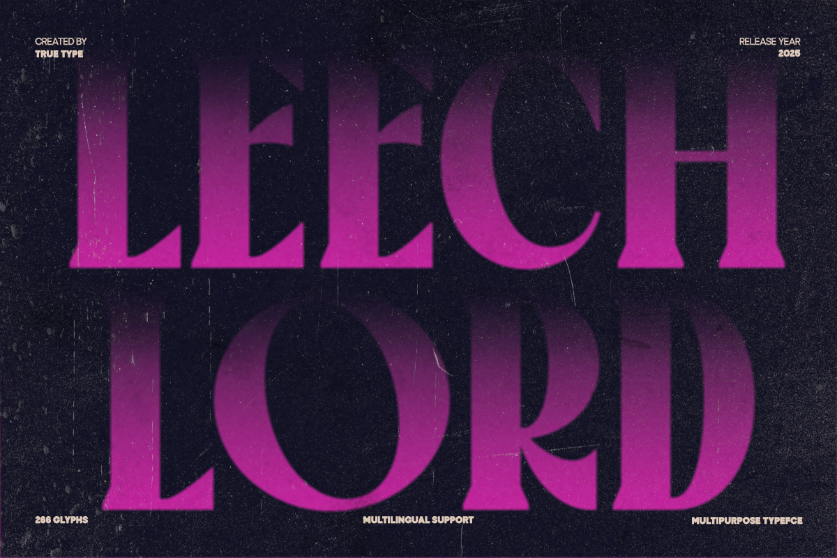 TT Montero Serif Condensed, a Serif Font by truetype (Photo 2 of 15)