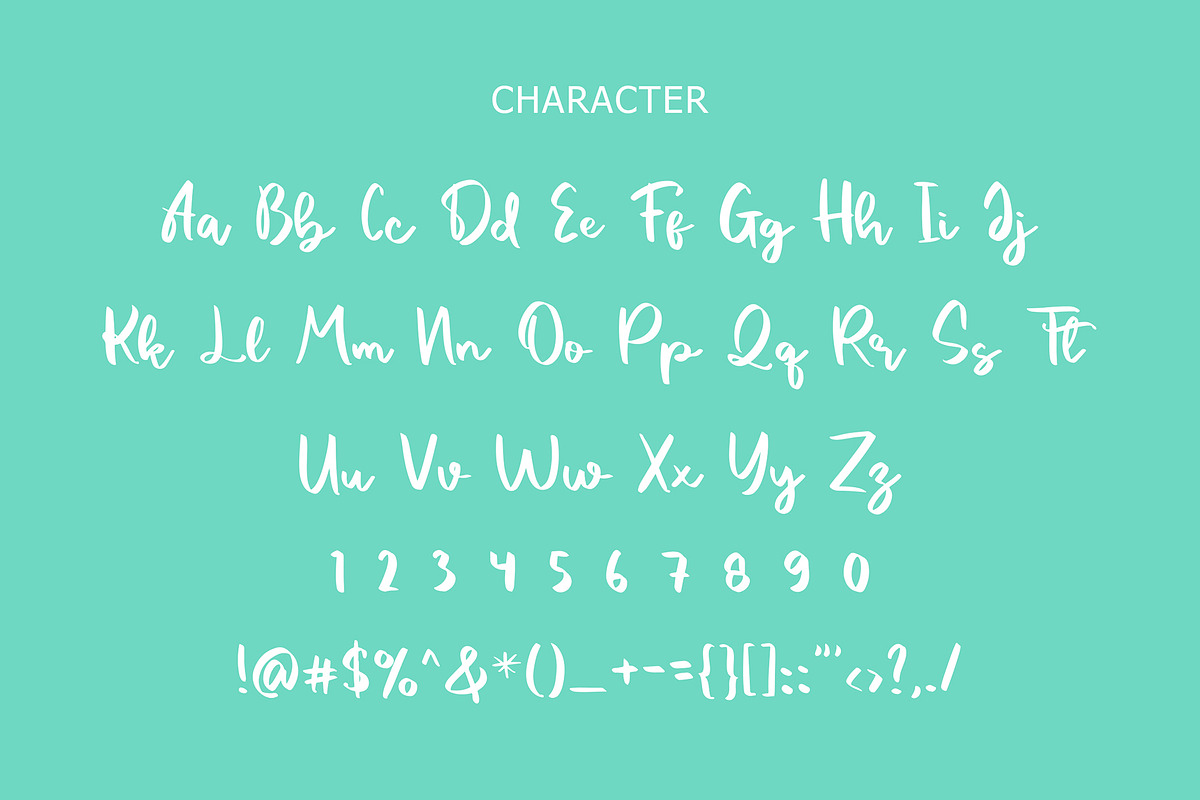 Vacation Modern Script Font, a Script Font by Giant Design (Photo 10 of 10)