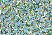 3 Hand Marbled Papers Seaweed, a Texture Graphic by Marblingdom (Thumbnail 4 of 4)
