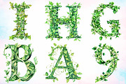 Watercolor Green Leaf Alphabet PNG, an Illustration by Canvas Craft (Thumbnail 5 of 5)