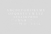 Aveline - Elegant Serif, a Serif Font by Schrifted Type (Thumbnail 7 of 8)