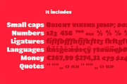 Condell Bio Poster, a Sans Serif Font by Letritas (Thumbnail 8 of 11)