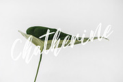 Sean Bettania - Brush Script Font, a Script Font by NTC Graphic (Thumbnail 3 of 9)