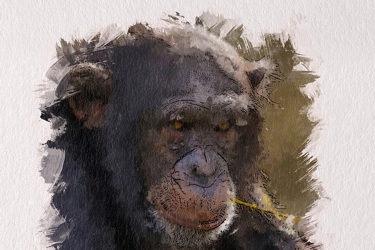 Acrylic oil Painting PS Action, an Action Add-On by INTENTFX (Photo 17 of 20)