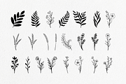 Plant and flower hand-drawn set, an Object Illustration by Tekuni (Thumbnail 3 of 6)