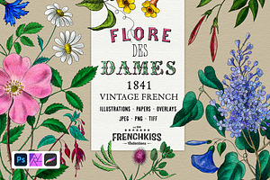 Flore des Dames Vintage French, an Illustration by French Kiss Collections