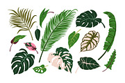 Exotic leaves. Green leaf plants set, a Decorative Illustration by Good Studio (Thumbnail 5 of 10)