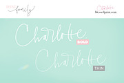 Charlotte Script with 120 ligatures, a Script Font by Blessed Print (Thumbnail 14 of 19)