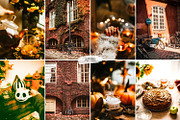 10 Crisp Leaves Lightroom Presets, a Preset Add-On by LucaTheme (Thumbnail 2 of 9)
