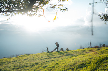 Green fields on the mountains in summer, a Nature Photo by Art Rachen